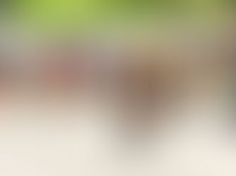 Miguel Angel Daher: el ciclismo panameño encuentra a su nuevo fenómeno rumbo a un 2026 decisivo