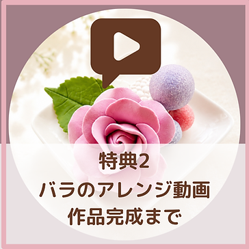 Cream Product Social Media Post (1080 × 1350 px)のコピーのコピーのコピー (Instagramの投稿) (13).png