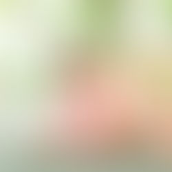 Sevi's Sweet Sixteen