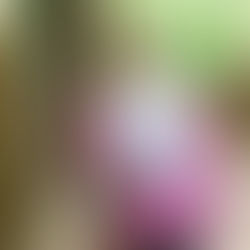 Bryan | Rowlett High School | 2021