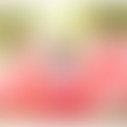 Ryli | Wylie High School | 2021