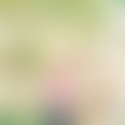 Emma | Spring Pictures