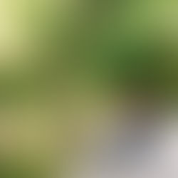 Kayla | Wylie High | 2021