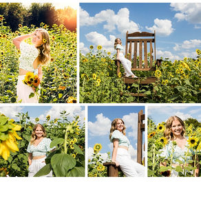 Senior portraits photographed by Wylie senior photographer 12 By Golightly in a sunflower field.