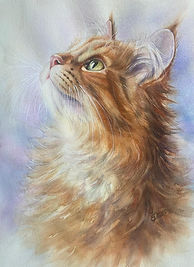 Ritratto di un gatto