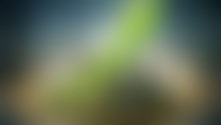 FIIs batem recorde na B3: 3 mi de investidores e patrimônio de R$ 200 bi; veja o ranking