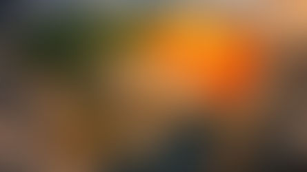 Os 5 estados que mais geram emprego na construção (e 3 são do Nordeste)