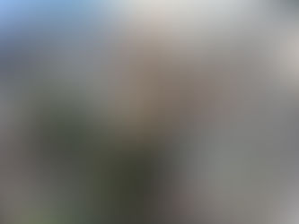 Não é bolha: é escassez. Os 5 bairros com o m² mais caro do país