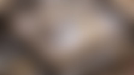 Com expectativa de queda dos juros, construção civil pode acelerar no Brasil, dizem especialistas