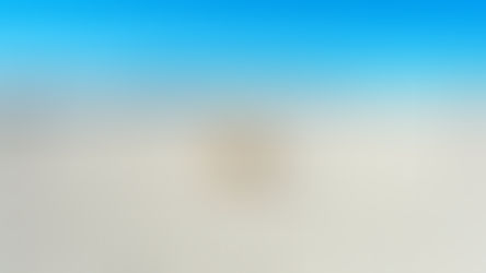 A picture of tumbleweed, portraying the lack of activity here recently.