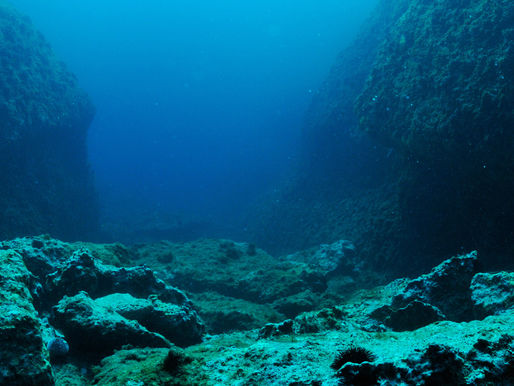 What's Up With The Deep Sea?