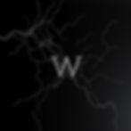 black screen with white typography map lines, and a W in hidden in the image, with a class