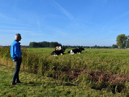 IJveren voor een Ecowijk aan de rand van Bolsward
