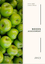 CD Needs Assessment cover pic.jpg