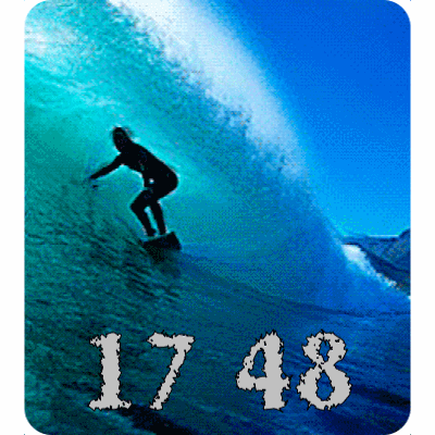 SurfLiveLem10AR