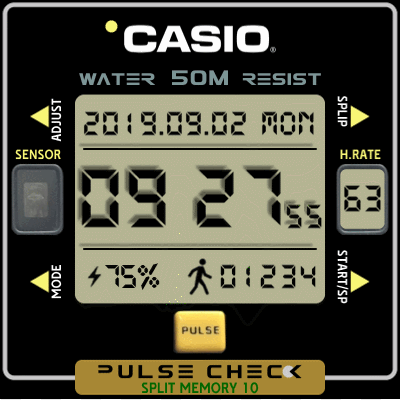 CasioRetro3squAR