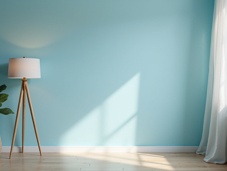 Transform Your Home with Professional Painters