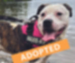 MARGO - NOW ADOPTED