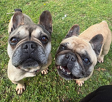 MAVIS AND MERTLE THIS ONE.jpg