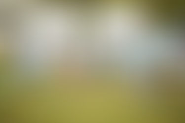 All Stars Cricket Priority Window Now Open!!