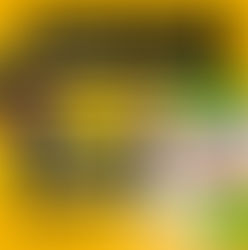 RATTRAPAGE COLLECTES DU LUNDI 1ER ET 8 MAI 2023