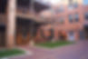 DSC00316.JPG