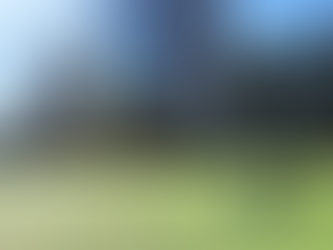 5戦全勝⚽️1 DAY CUP優勝🏆【4年生(39期)】