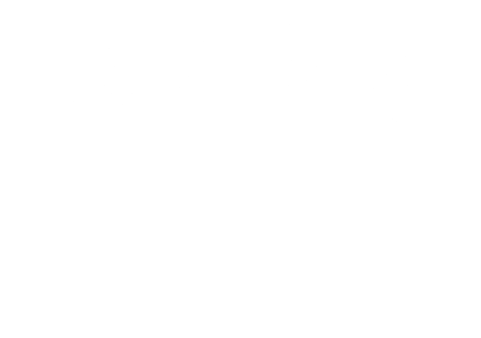 Primary Logo copy 2.png