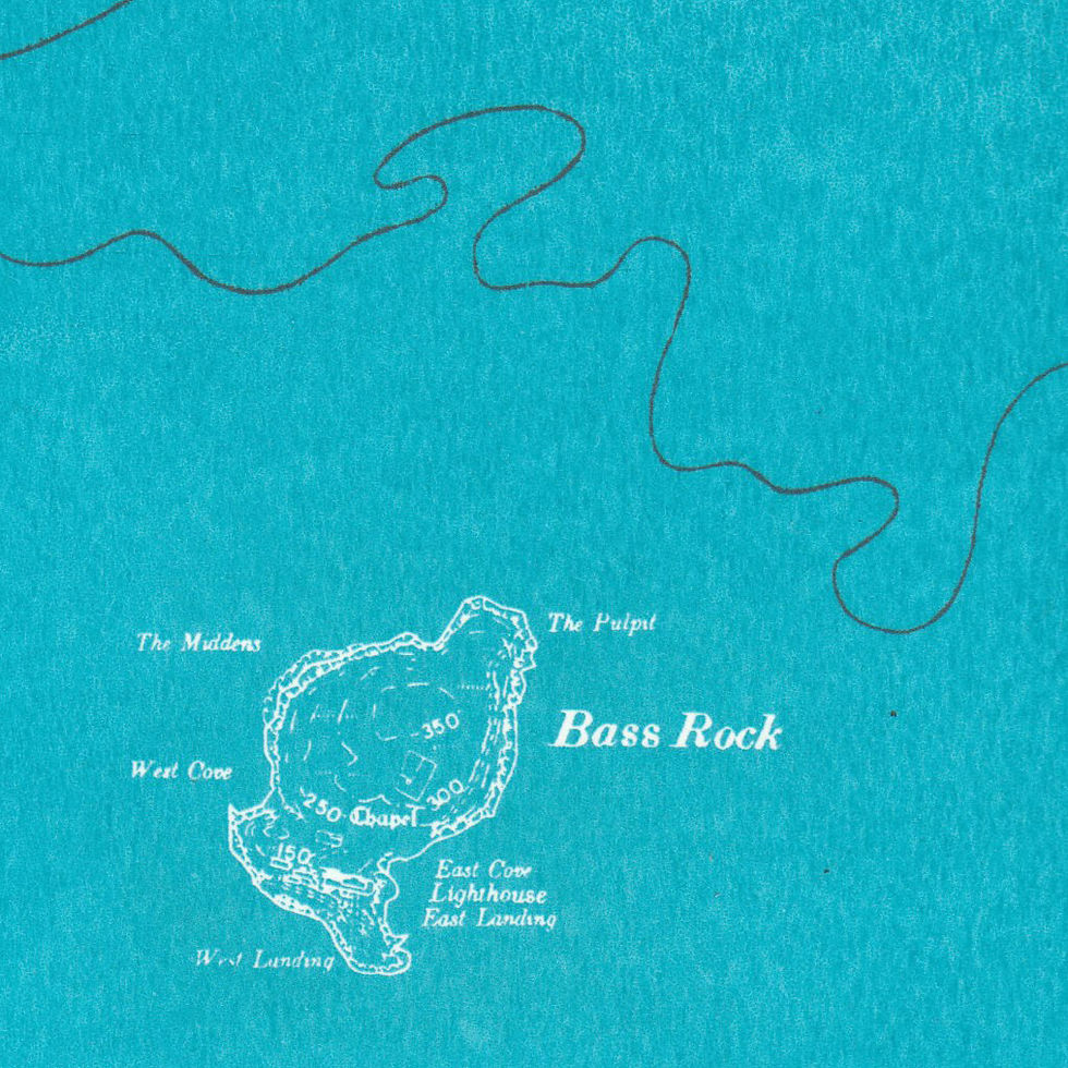Thumbnail: Bass Rock screen print