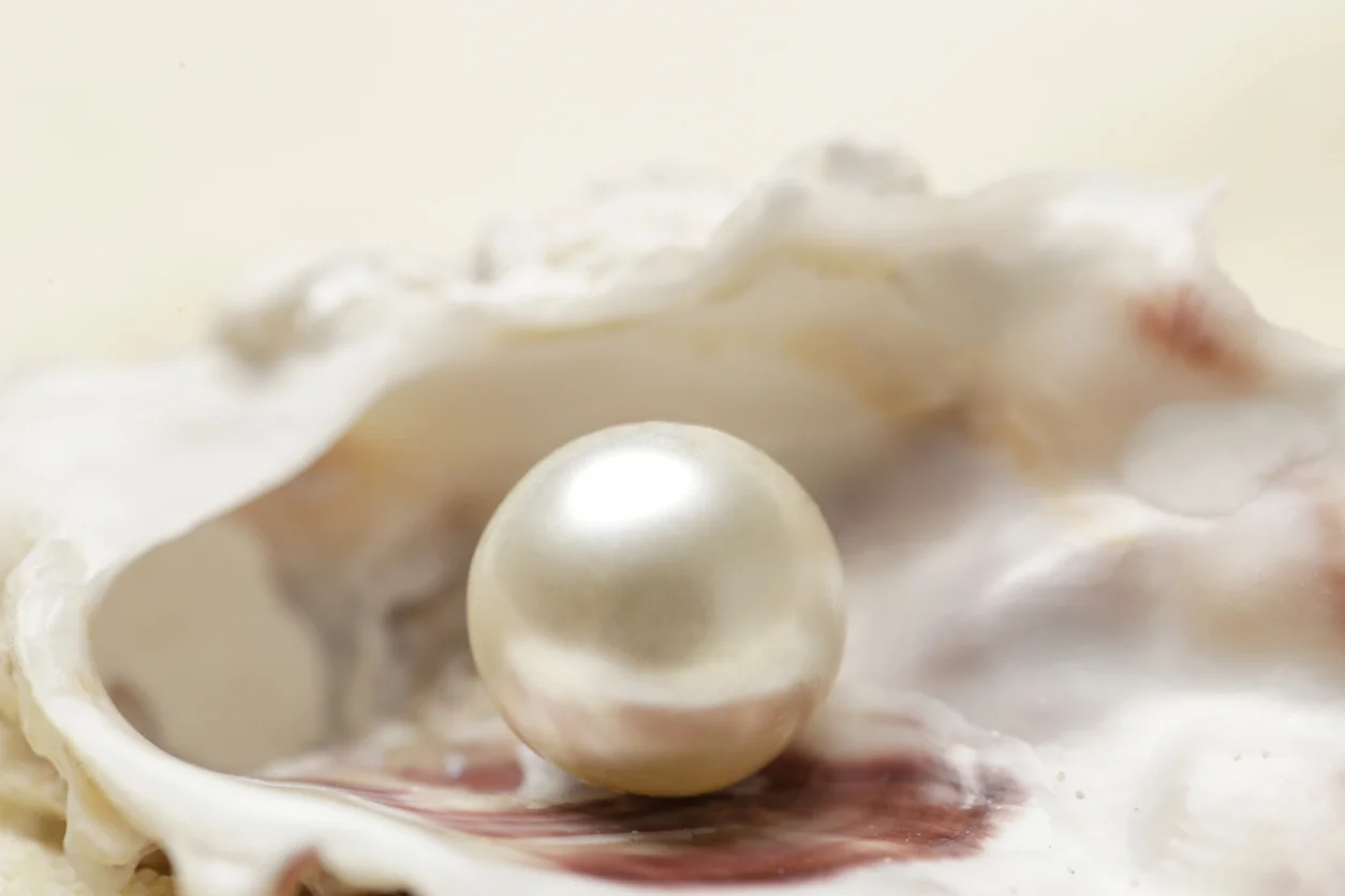 pearl.webp