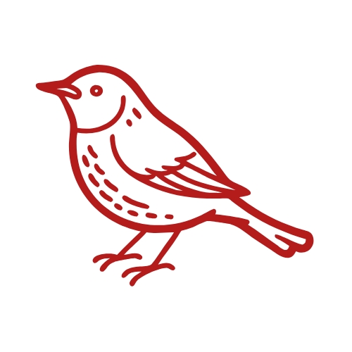 Writer: Linnet Insights