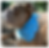 Thumbnail: It’s My Gotcha Day - Blue