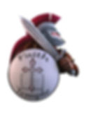 ft logo - light.jpg