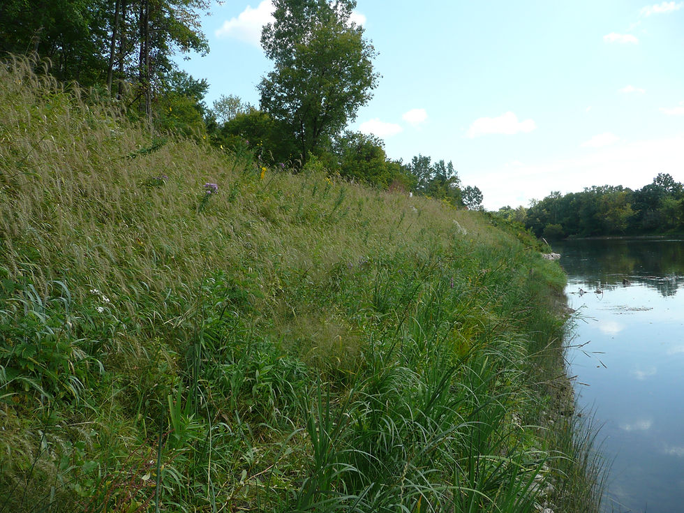 Envirolok System can installed as a method of stabilizing a slope and Riverbank