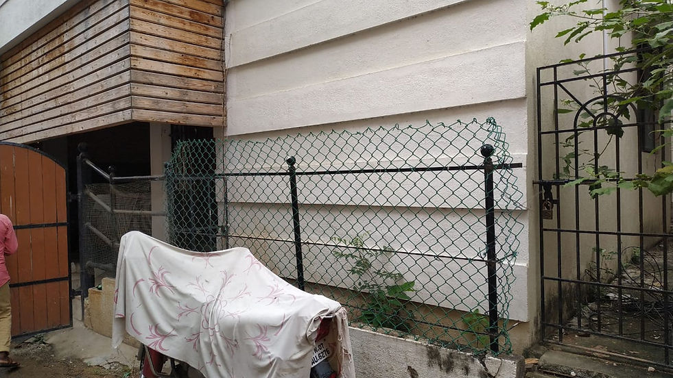 WhatsApp Image 2020-11-18 at 11.13.35 AM