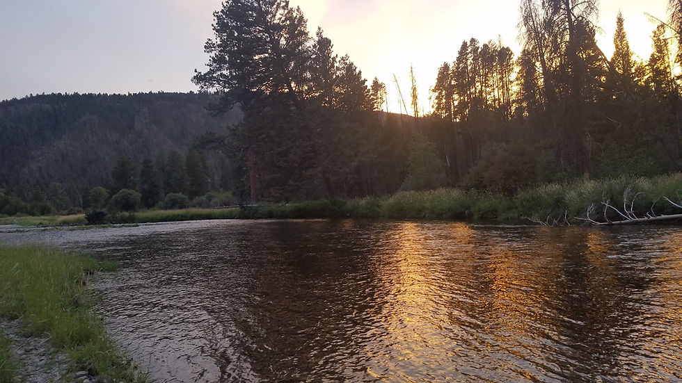 20180830_201330.jpg