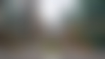 Dollar Adjusting to Trump’s Tariff Terms