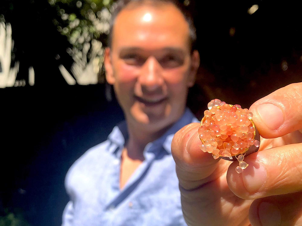 Magno Barros, from So50, and his finger lime
