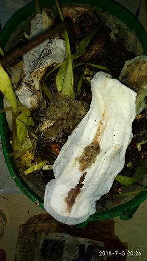 Asmita pad after 4 months in compost
