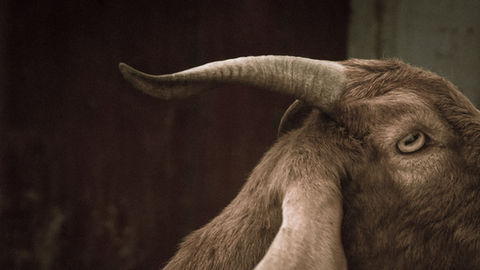 No ano de 2024 o estado do Rio Grande do Sul (Brasil) foi atingido por fortes chuvas que resultaram num inédito nível de destruição e fatalidade. As fotos foram realizadas na Vila Dique, comunidade de Porto Alegre. Na ocasião, estive na comunidade prestando assistência psicológica como voluntário. Tradicionalmente organizada pela função da coleta de lixo, a comunidade sofre há décadas vulnerabilidades sociais de todas a ordens, o que apenas se agravou após as chuvas. Procurando privilegiar a atmosfera afetiva do local e de seus habitantes, as fotos retratam as consequências crescentemente violentas das mudanças climáticas e sua incidência especialmente trágica em  comunidades marginalizadas.