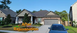 After Greener shingles treatment