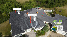 Before, During & After Greener Shingles Rejuvenation Treatment