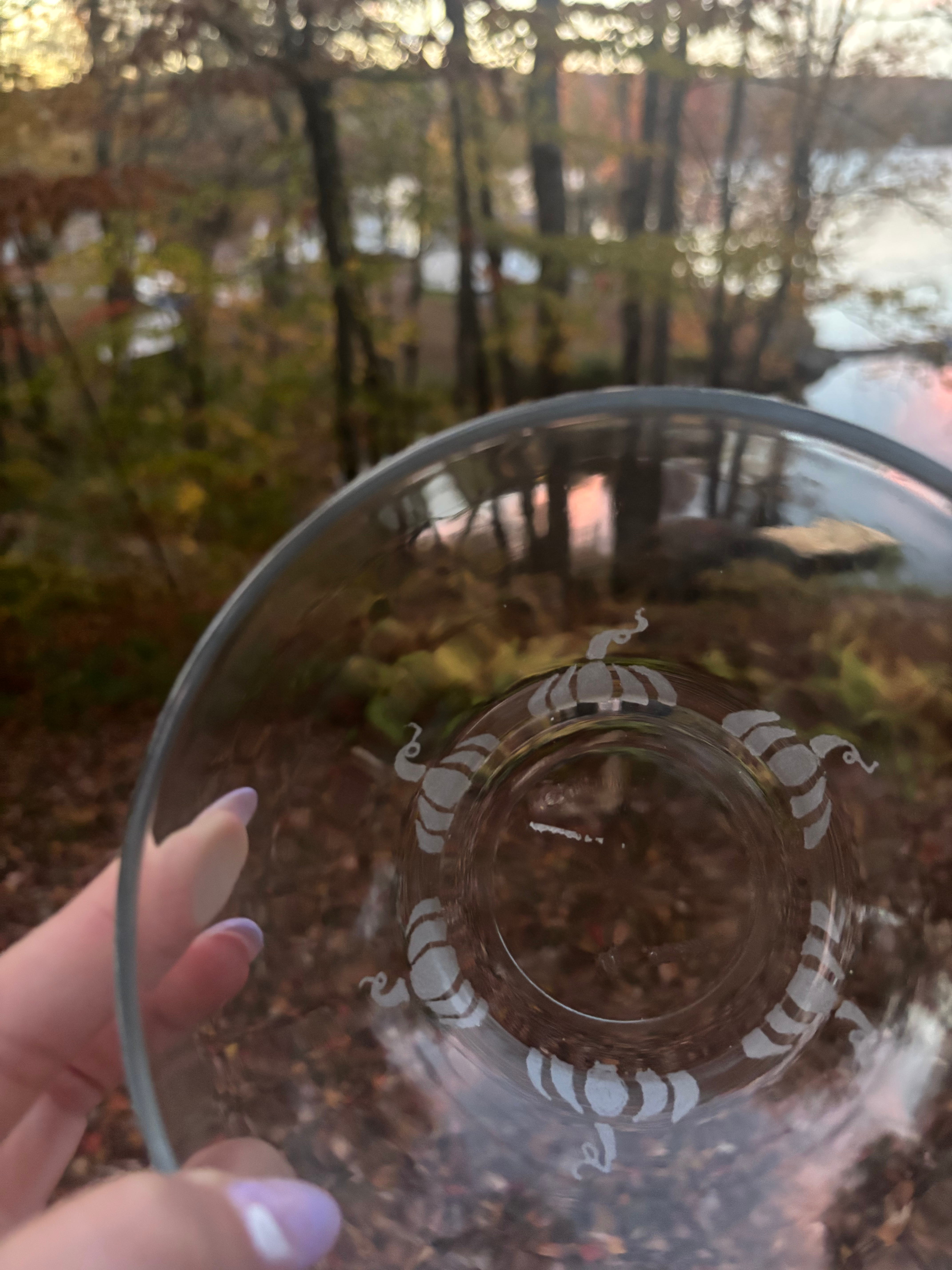 Pumpkin Etched & Rim Dipped Glass Bowl 