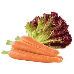 diet images-01.png