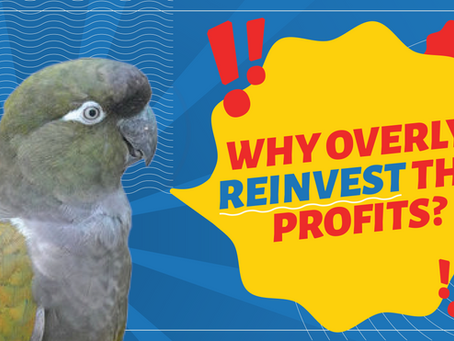Why overly reinvest the profits? Let’s take a ride together as I explain that to you!