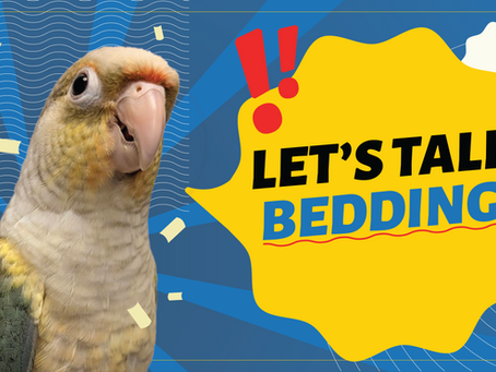 Let’s Talk Bedding!
