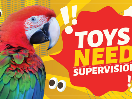 Toys NEED supervision
