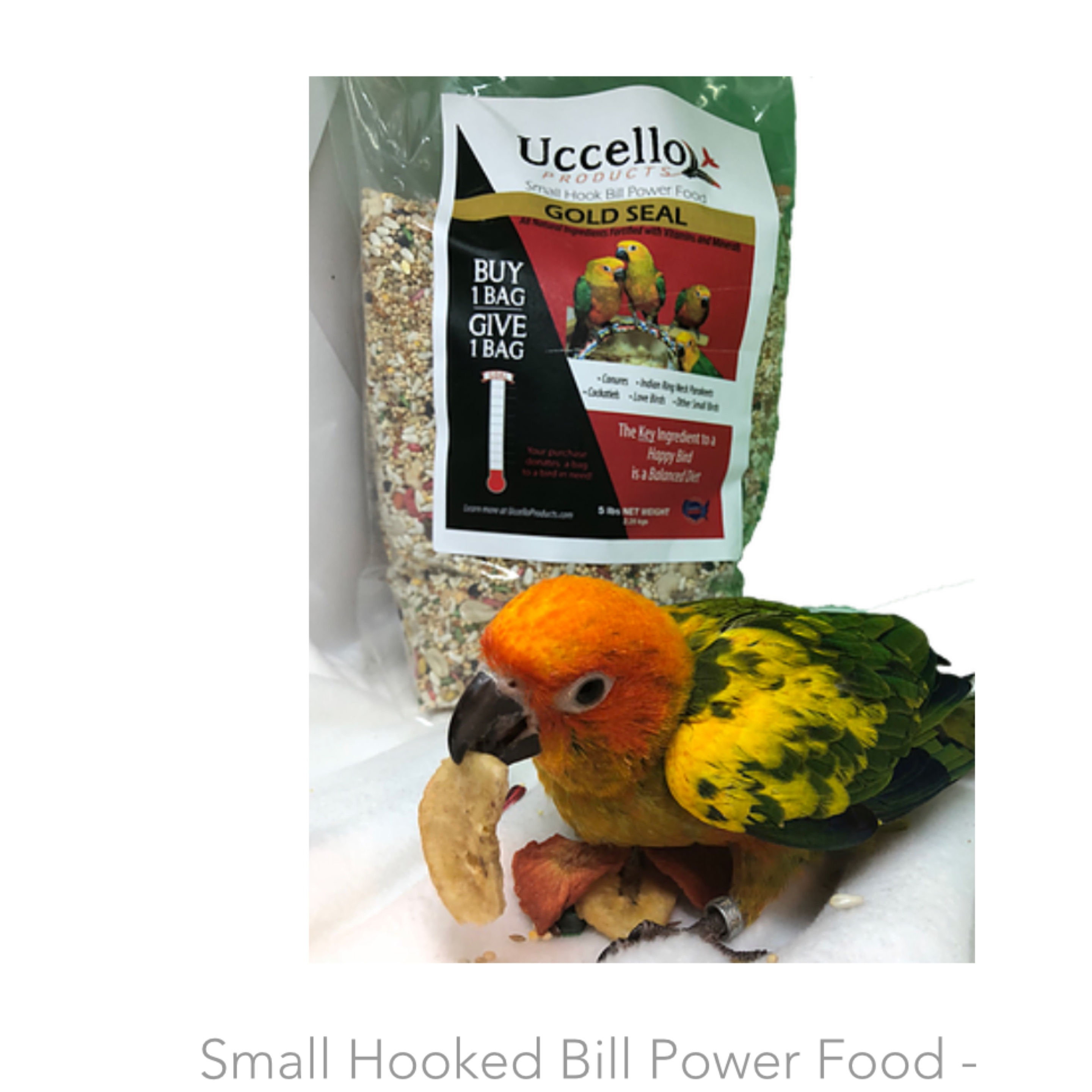 Uccello Small Parrot Gold Seal