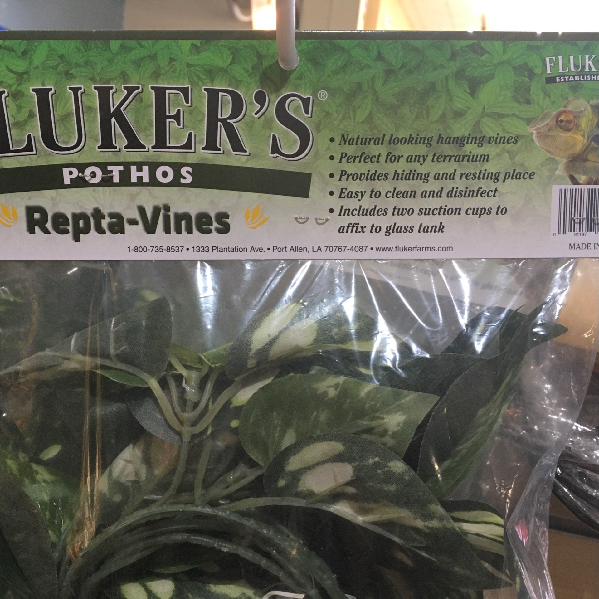 Fluker’s Pothos Repta-Vines