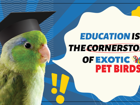 Education is the cornerstone of Exotic Pet Birds Inc. A little about what we do here in terms of Aviculture education and how we educate ourselves
